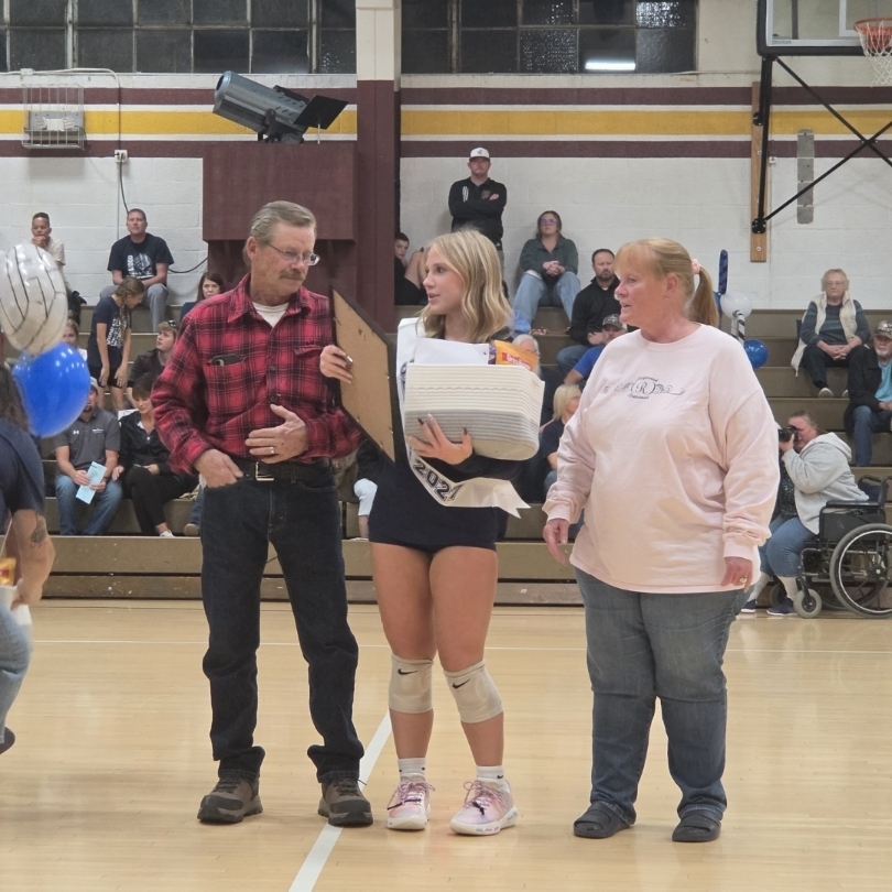 volleyball