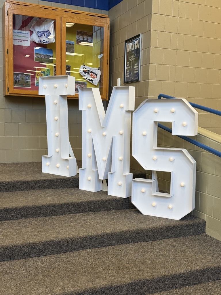 IMS block letters