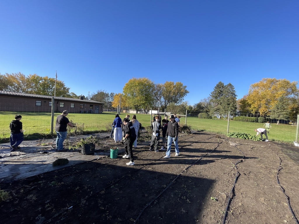Students work together in an outdoor garden plot on a sunny day near a school building.