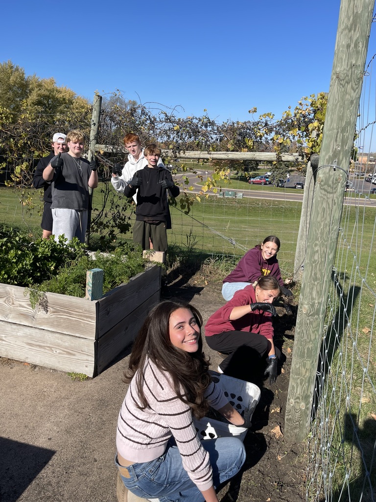 Students tend to a garden area outdoors by working in plant beds and near a wire trellis.