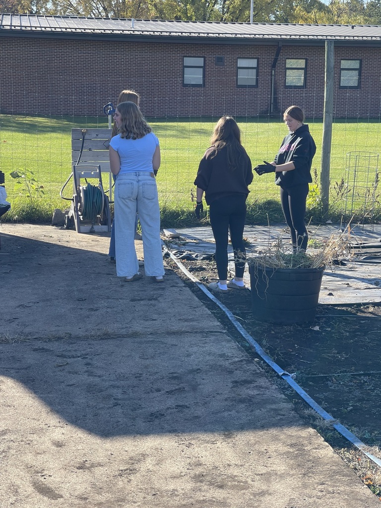 Four students work together outdoors cleaning up a school garden plot.