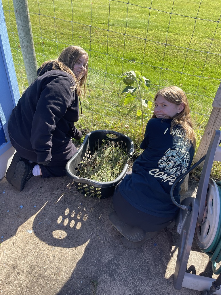 Two students crouch together in a garden plot, placing pulled weeds into a black basket near a wire fence.