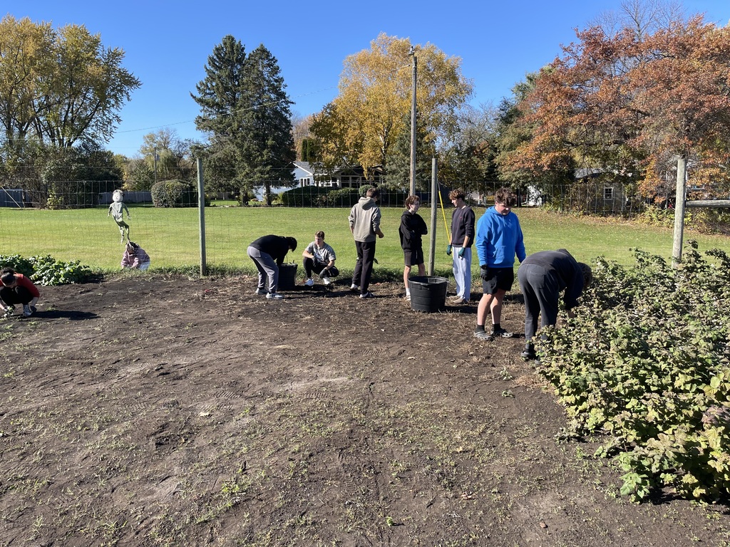 Students work together clearing plants and weeds in a outdoor garden plot on a sunny day.