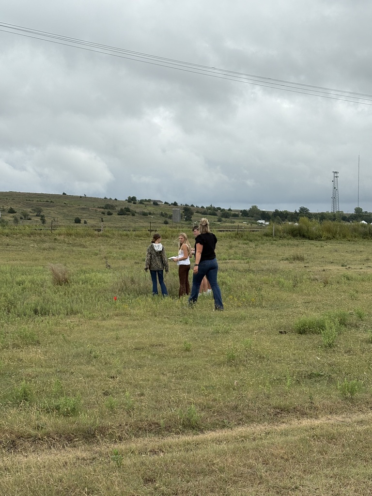 Range Judging 7