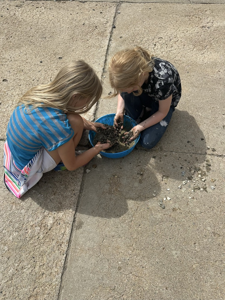 3rd grade paleontologist 2025