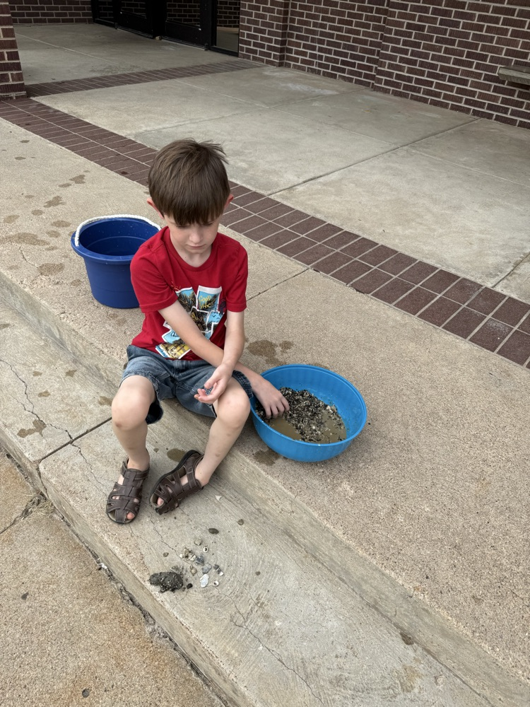 3rd grade paleontologist 2025