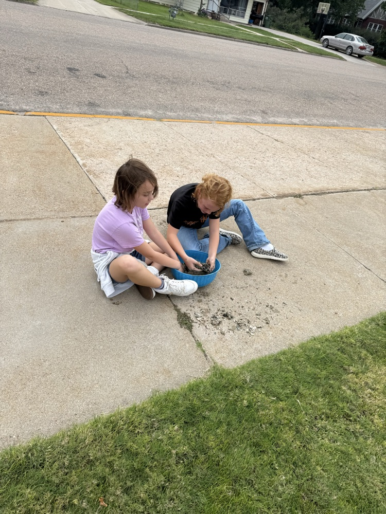 3rd grade paleontologist 2025
