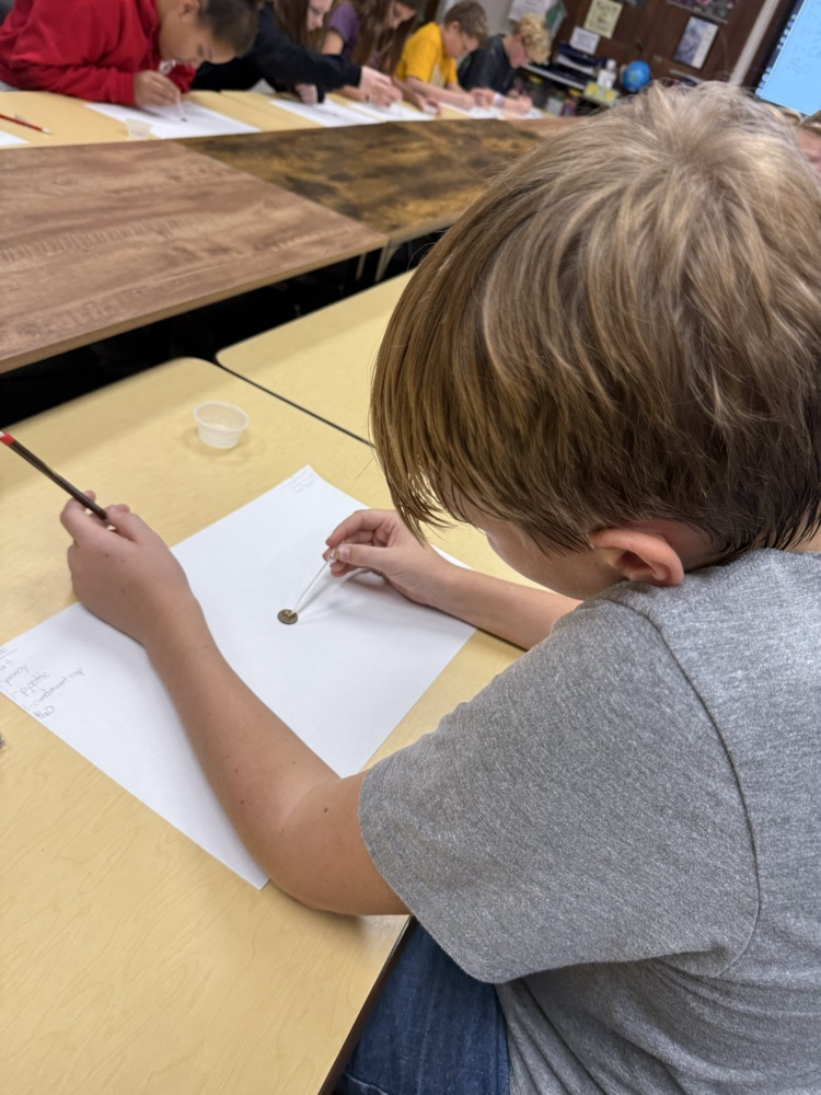 6th grade Water Surface Tension 10/10/25