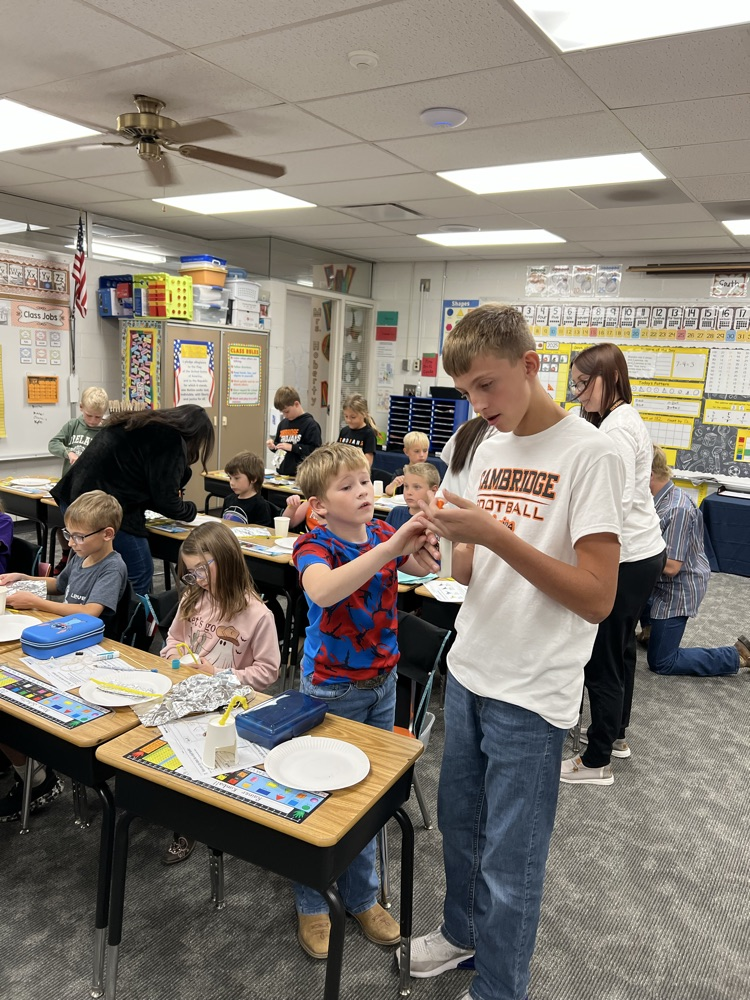 Homeroom Buddies bird feeders 2025