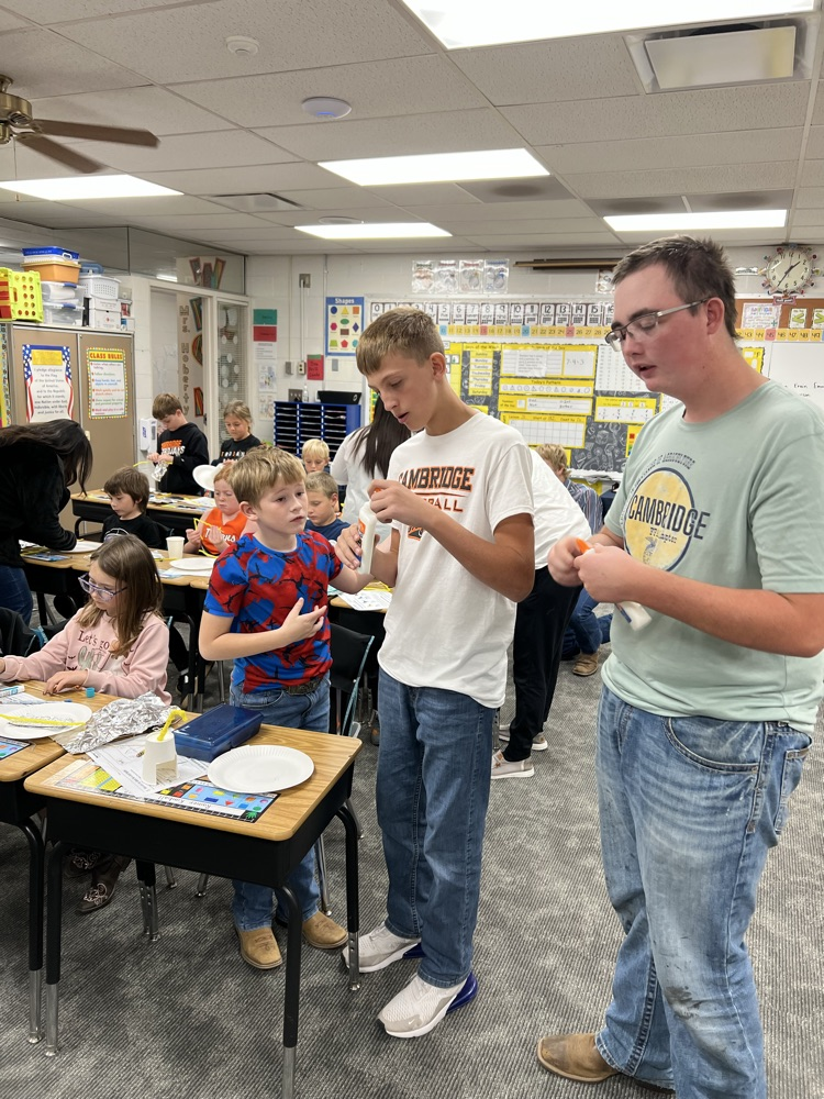 Homeroom Buddies bird feeders 2025