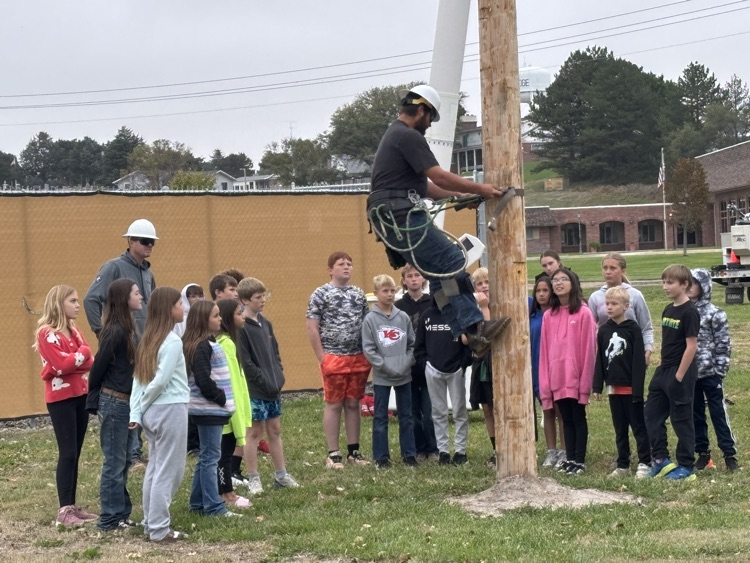 Electrical Safety Day 2025