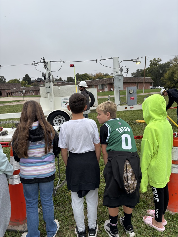 Electrical Safety Day 2025