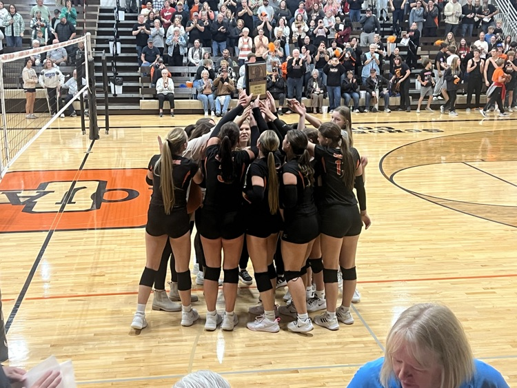 District Vball champs