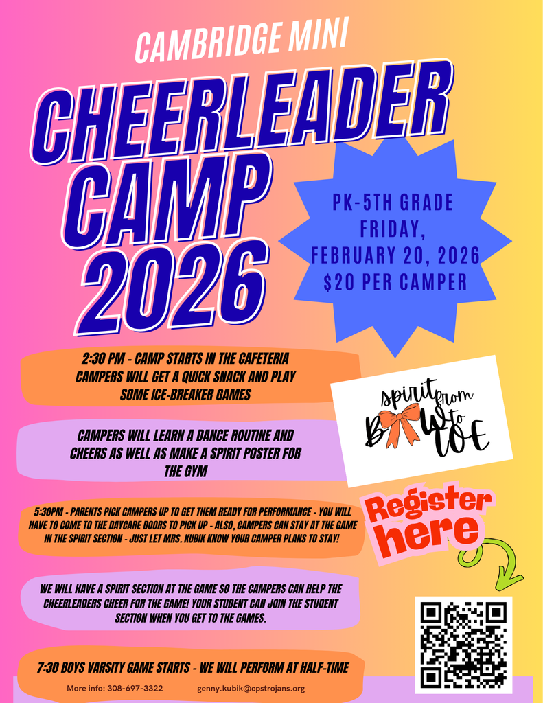 Mini Cheer Camp Info