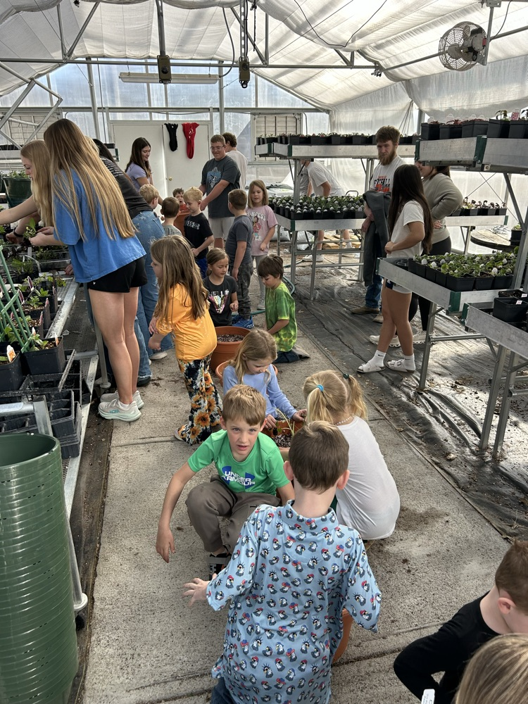kindergarten helping FFA greenhouse 2026