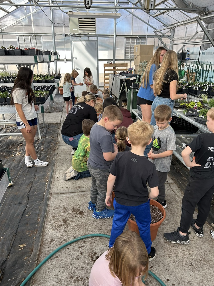 kindergarten helping FFA greenhouse 2026