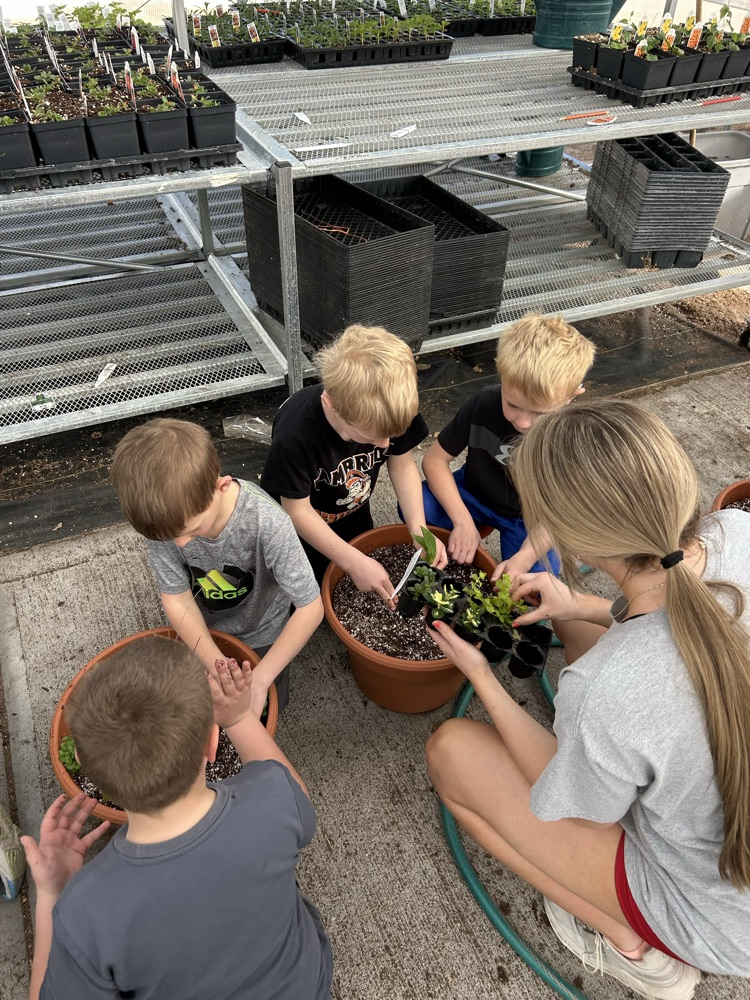 kindergarten helping FFA greenhouse 2026