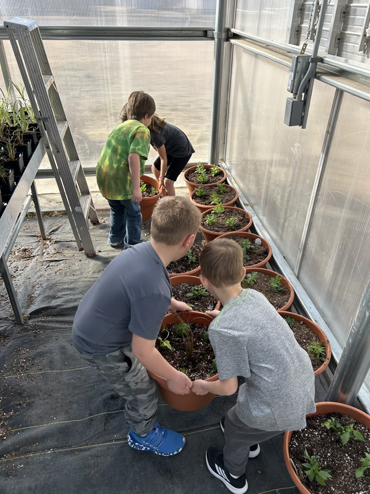kindergarten helping FFA greenhouse 2026