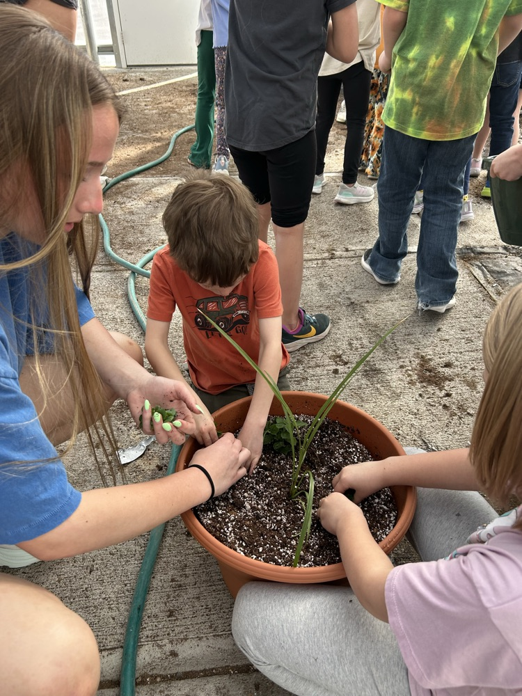 kindergarten helping FFA greenhouse 2026