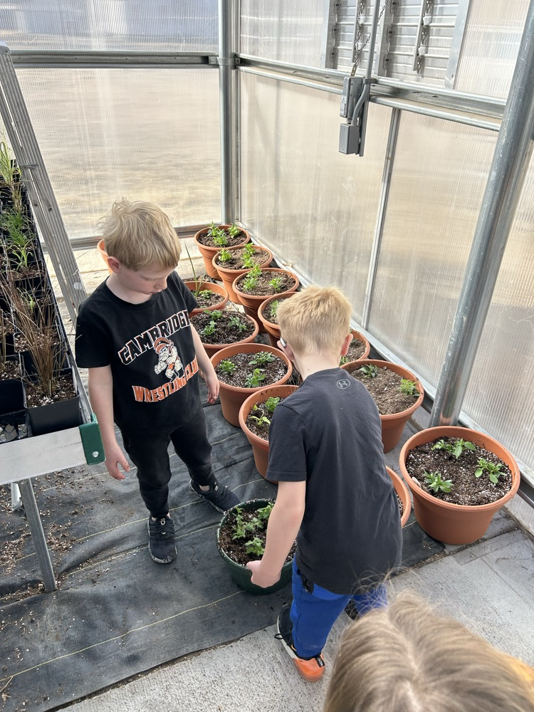 kindergarten helping FFA greenhouse 2026