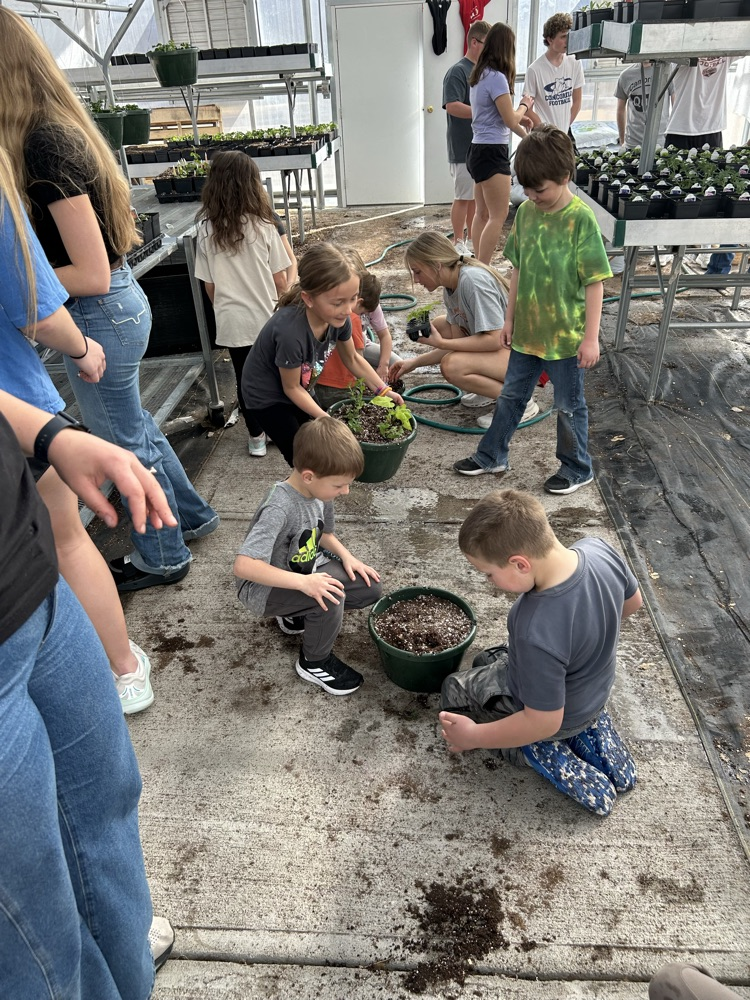 kindergarten helping FFA greenhouse 2026
