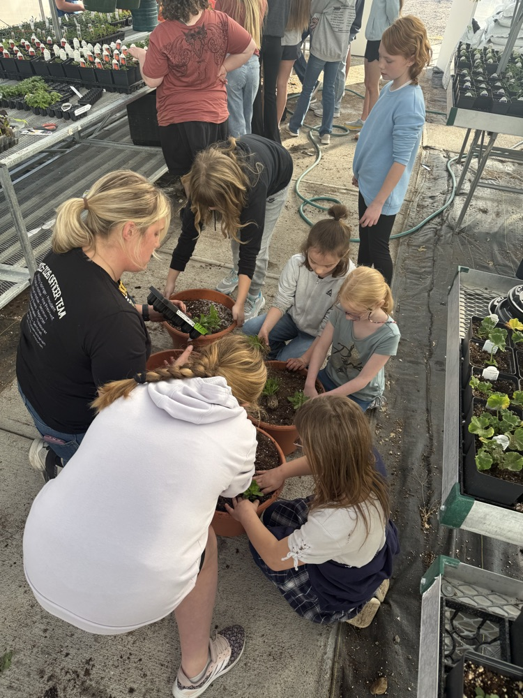 3rd grade helping at the FFA green house 2026