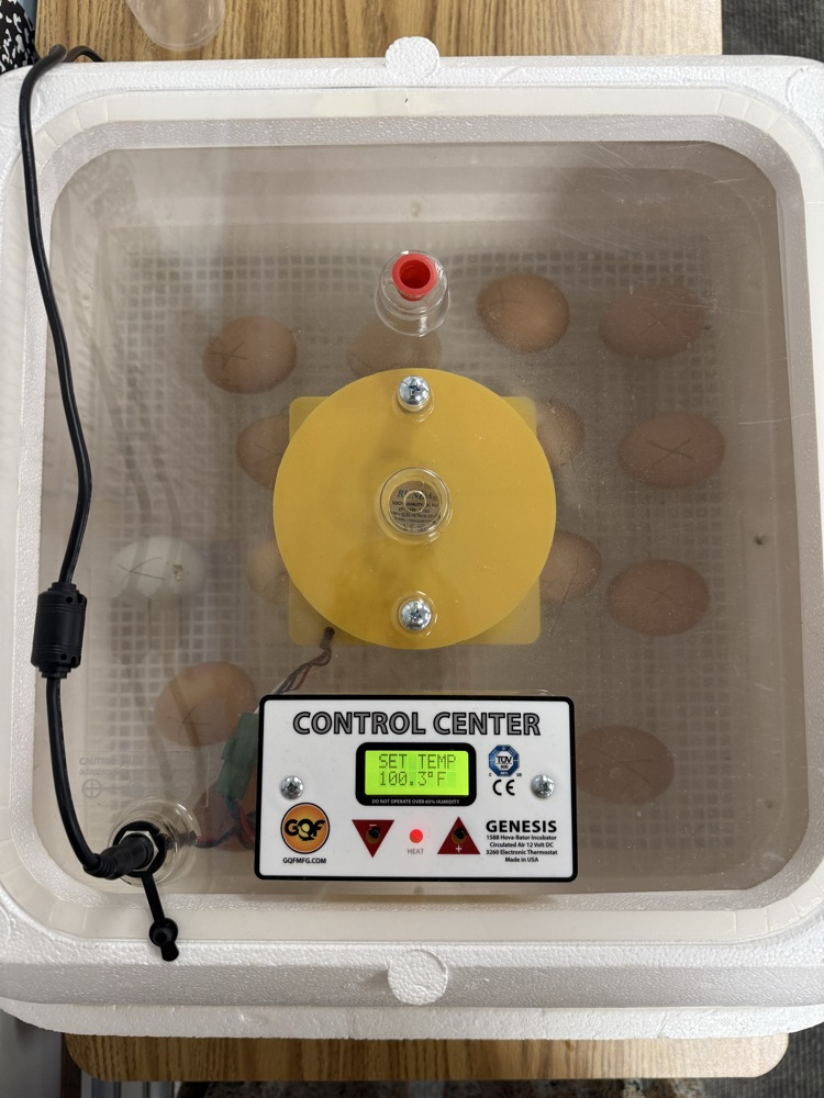 4H Embryology - Third Grade 2026