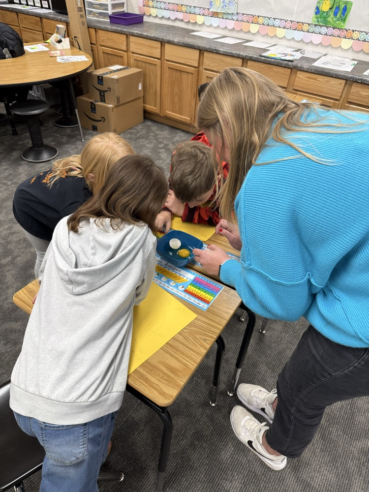 4H Embryology - Third Grade 2026