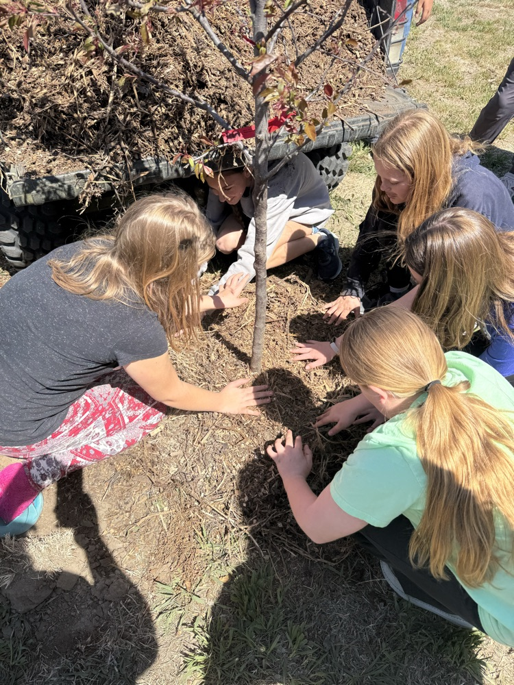 Arbor Day 2026 Tree Planting