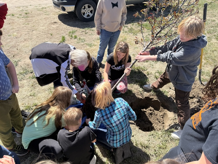 Arbor Day 2026 Tree Planting
