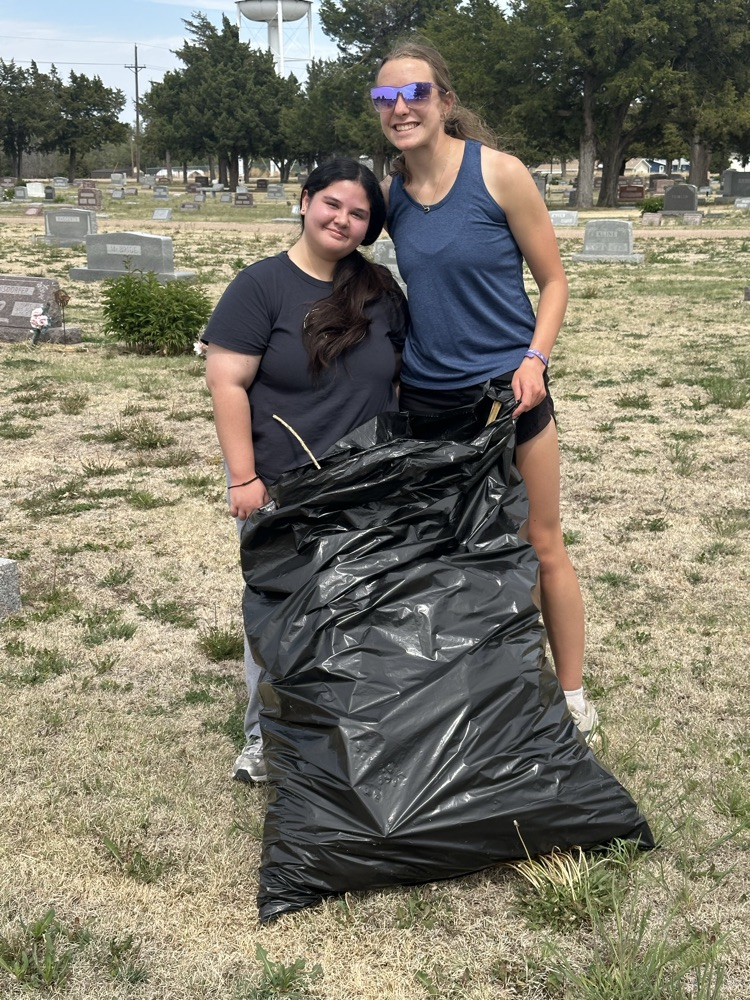 senior service project 2026
