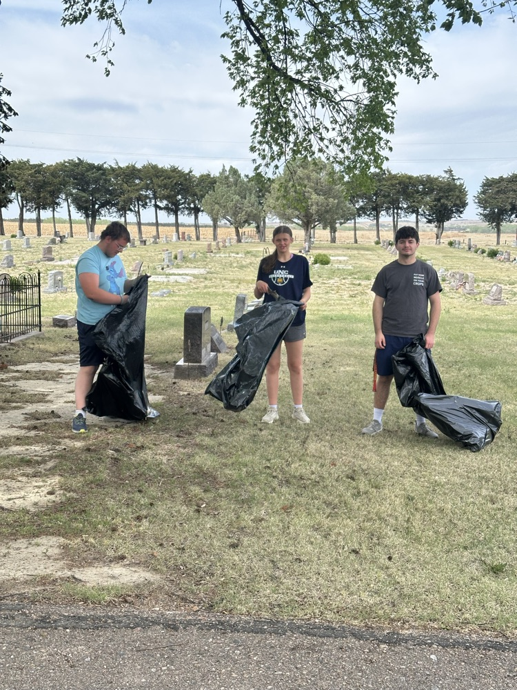senior service project 2026