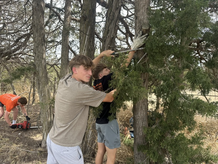 senior service project 2026
