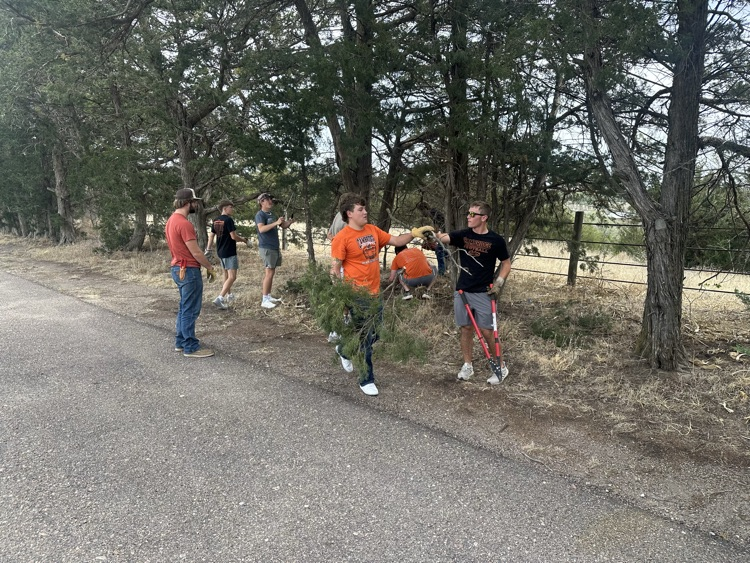 senior service project 2026