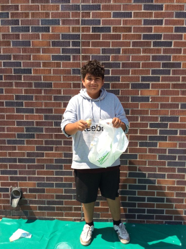 SCI7 - Eggbert Parchute Lab 3