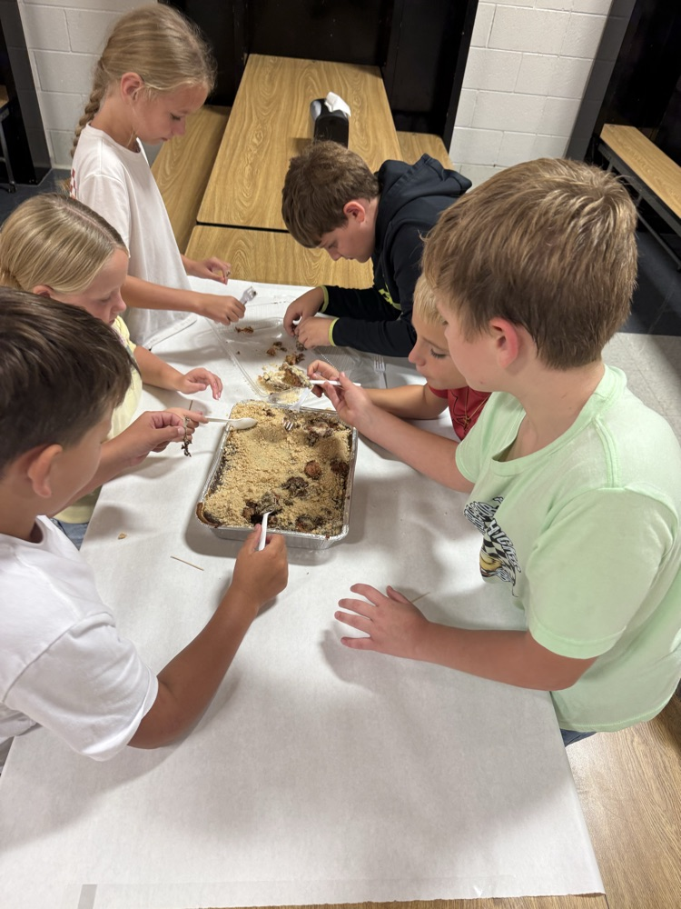 3rd grade getting hands-on with their “fossil” dig