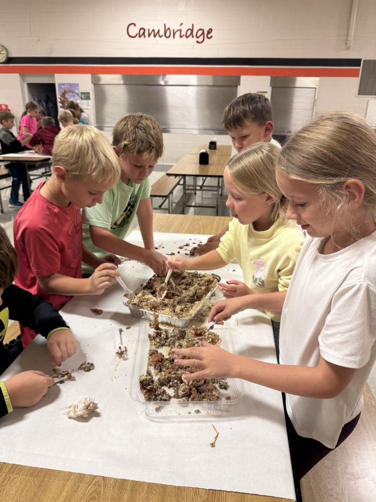 3rd grade getting hands-on with their “fossil” dig