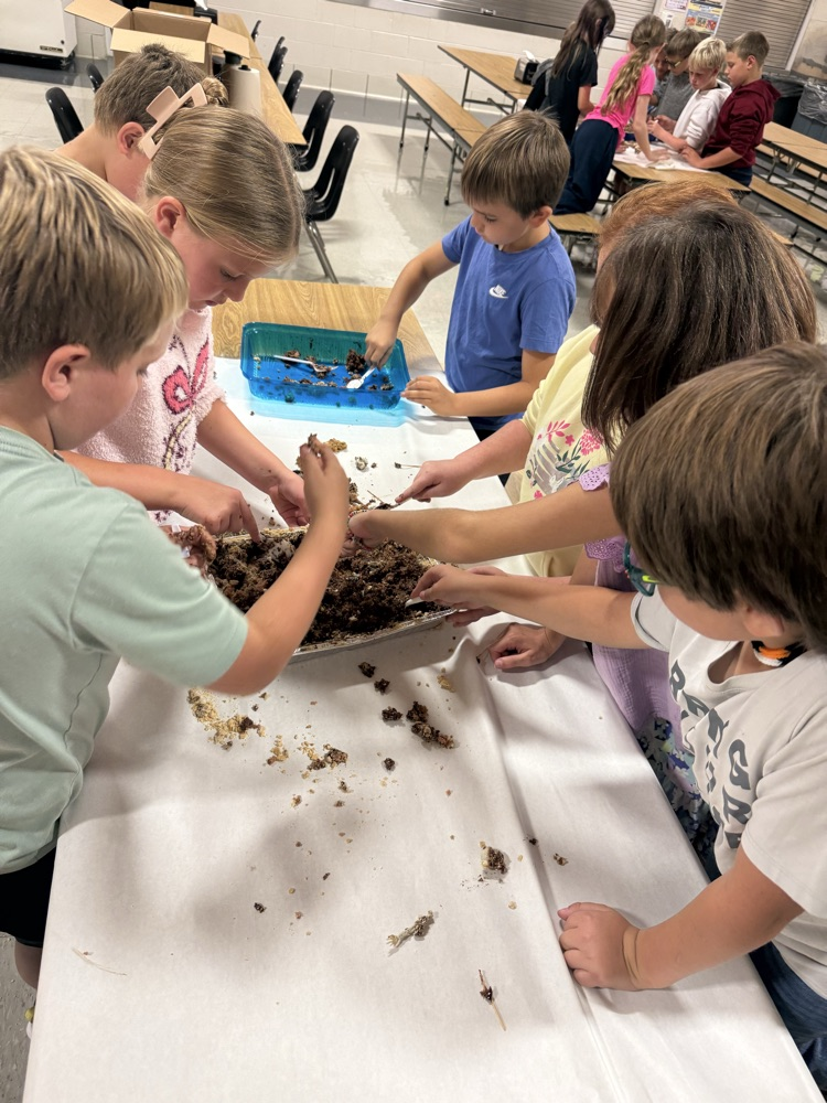 3rd grade getting hands-on with their “fossil” dig