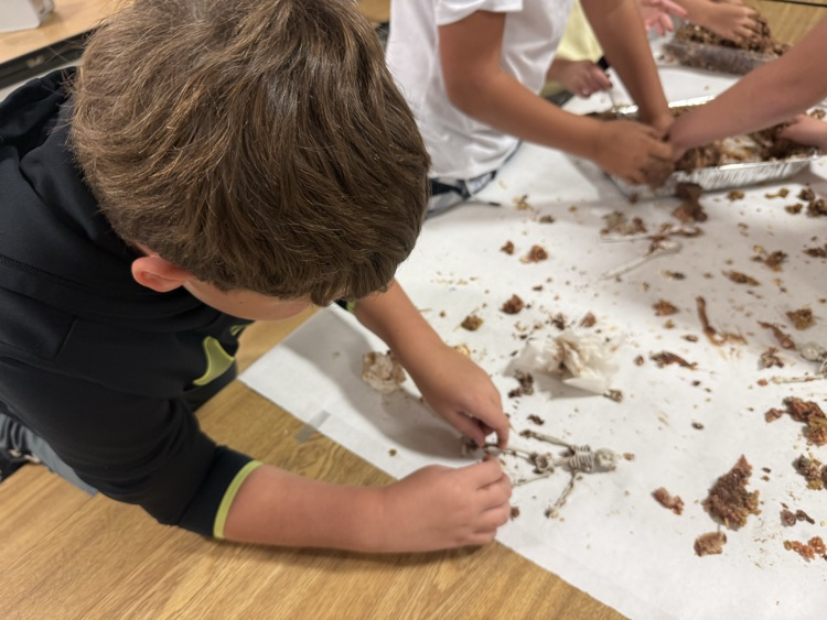 3rd grade getting hands-on with their “fossil” dig
