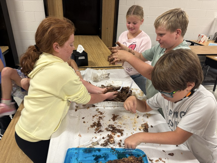 3rd grade getting hands-on with their “fossil” dig