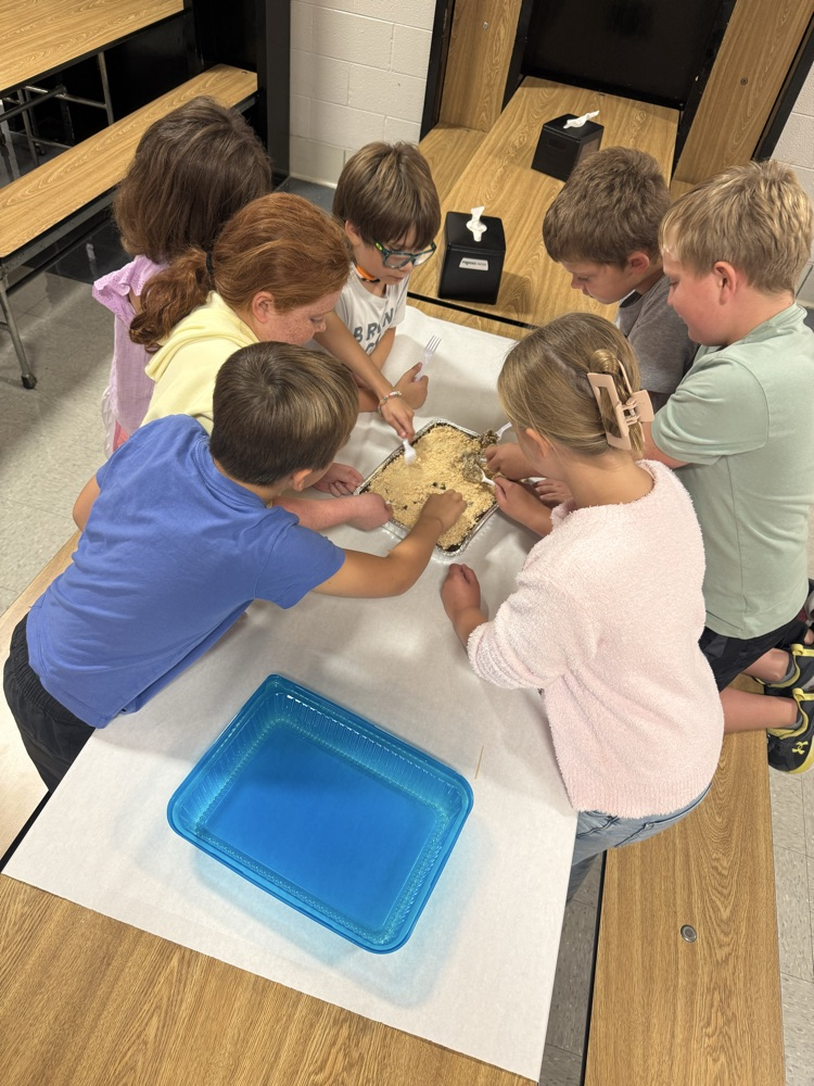 3rd grade getting hands-on with their “fossil” dig