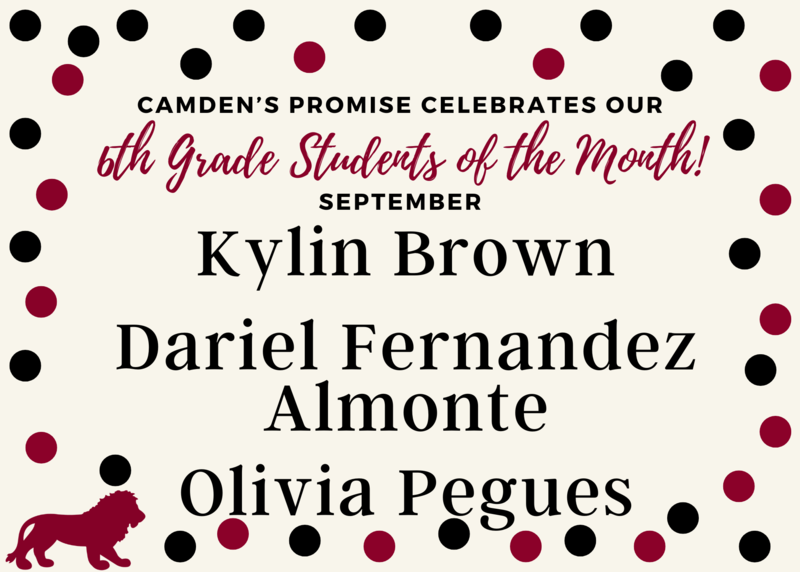 Promise 6