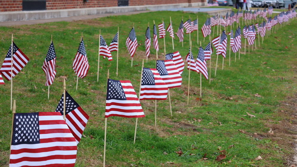 Field of Flags