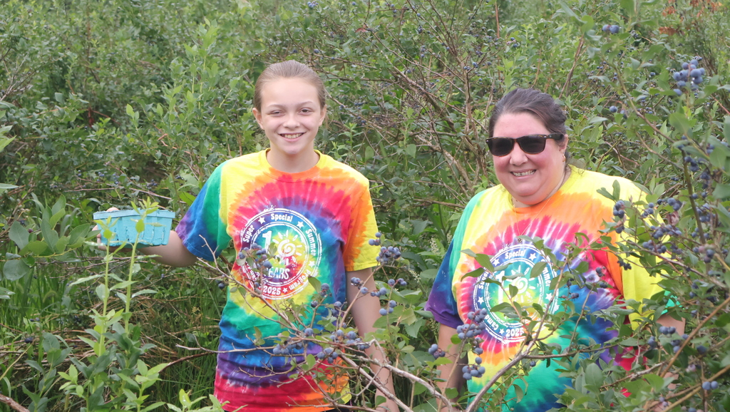 Blueberry Picking at Swistak Farms