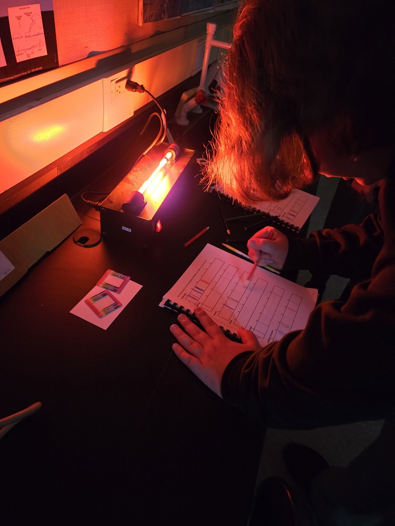 Stoelzel's Class Spectral Lab