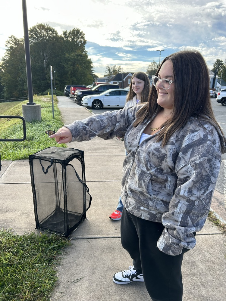 Butterfly Release