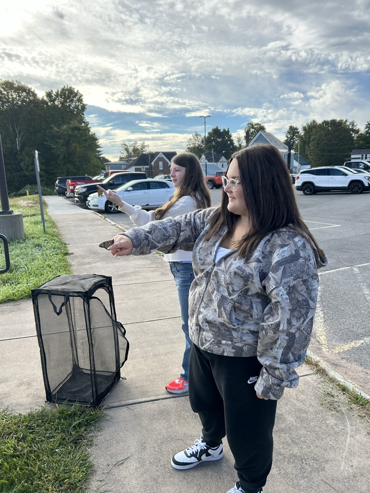 Butterfly Release