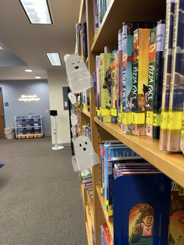 CMS Library Stacks