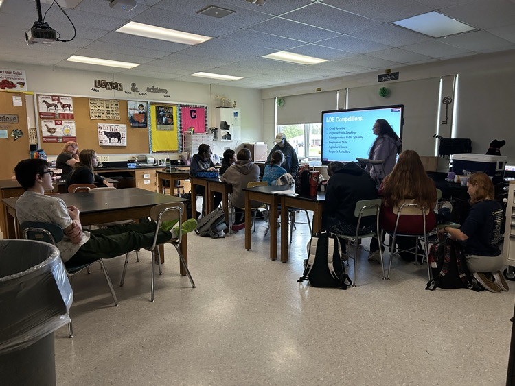 FFA LDE Meeting