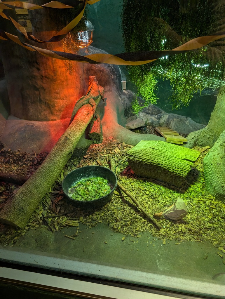 Third Grade Utica Zoo Trip